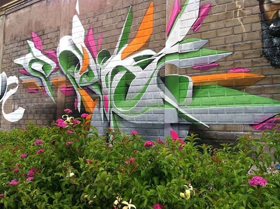 Beautiful Graffiti and Murals by Peeta-14
