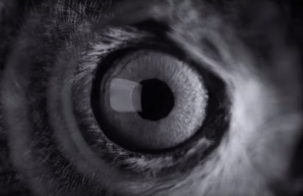 This is 7 – Apple Teaser