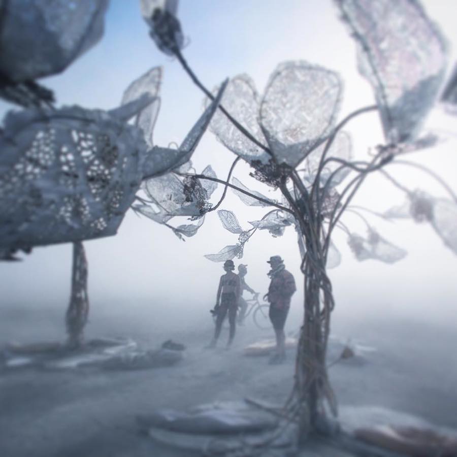 Crazy Shots and Atmosphere of Burning Man 2016-10