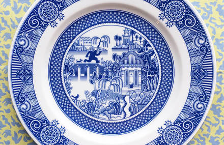 Creative Drawings on Victorian Porcelain Dinner Plates