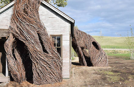 Impressive Houses Made with Living Trees