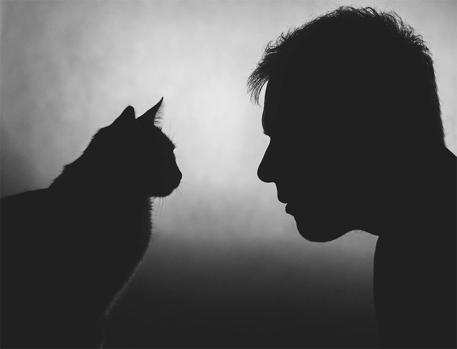 Lovely Pictures of Cats in Black and White-14