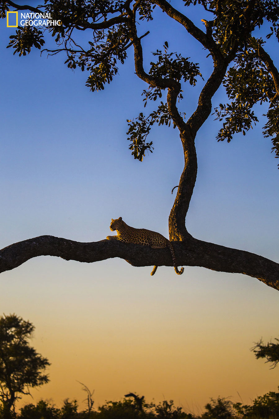 National Geographic Nature Photographer of the Year 2016 Contest-26