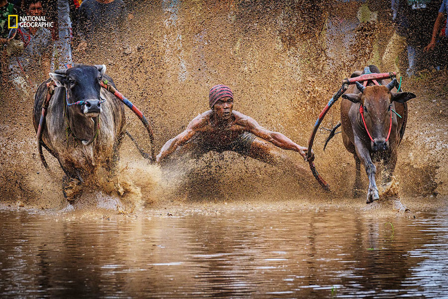 National Geographic Nature Photographer of the Year 2016 Contest-27