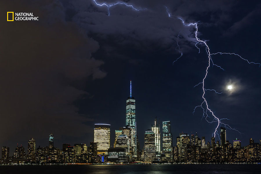 National Geographic Nature Photographer of the Year 2016 Contest-8