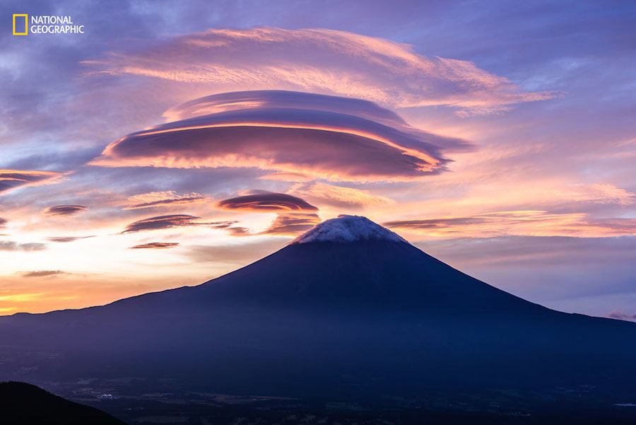 National Geographic Nature Photographer of the Year 2016 Contest-9