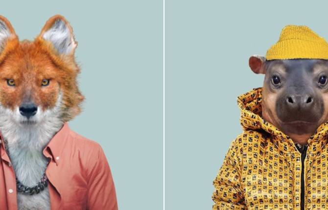 New Humanized Animals by Zoo Portraits