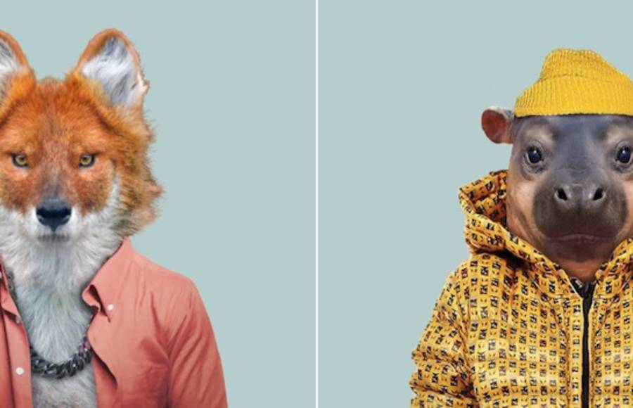 New Humanized Animals by Zoo Portraits
