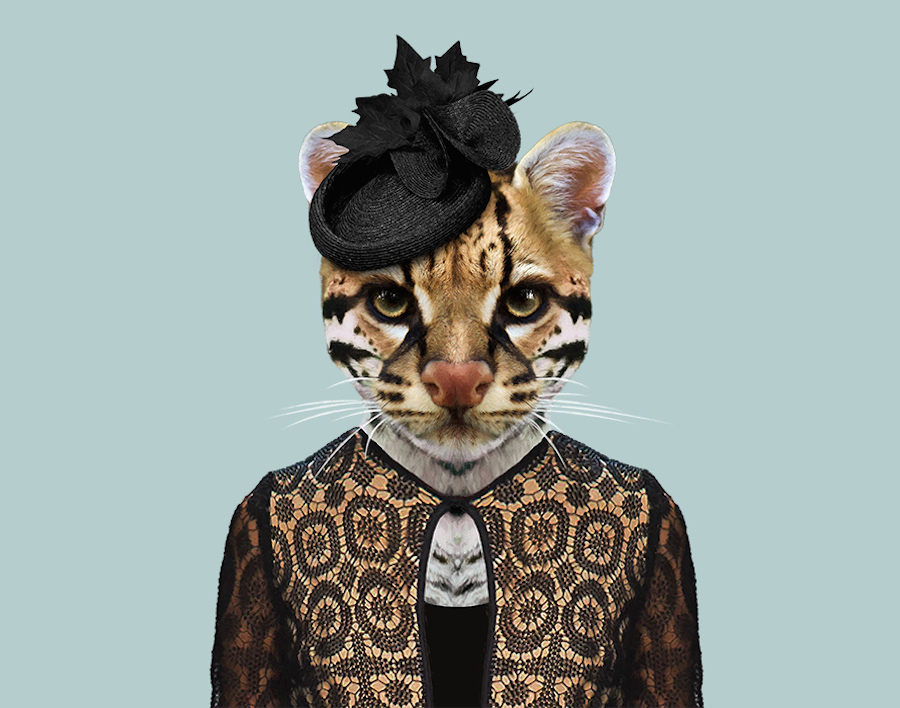 New Humanized Animals by Zoo Portraits-11
