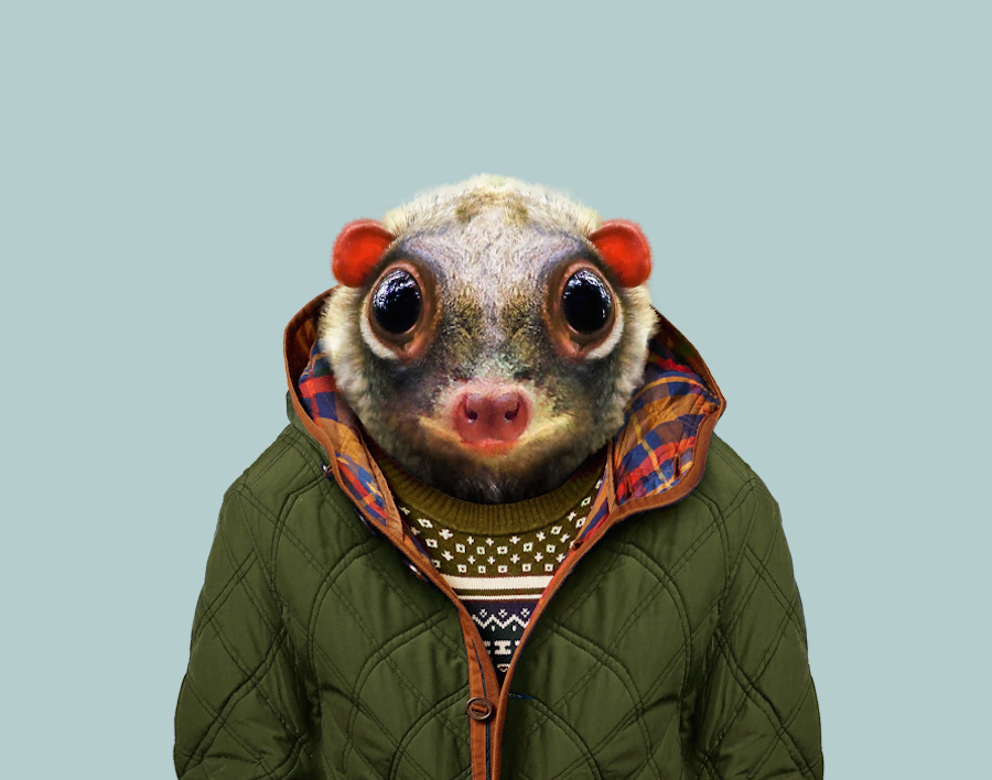 New Humanized Animals by Zoo Portraits-17
