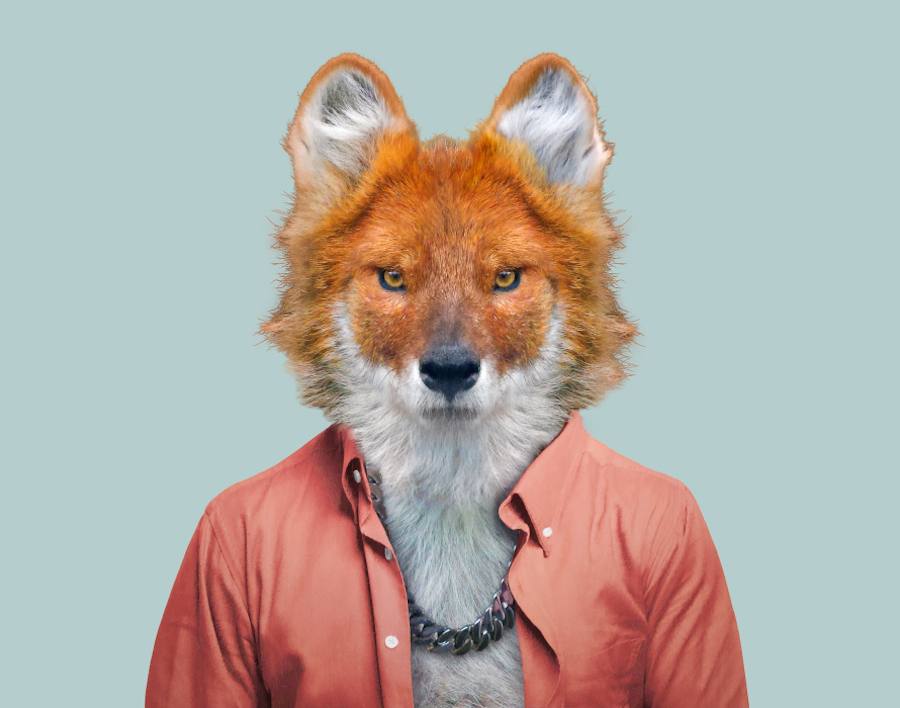 New Humanized Animals by Zoo Portraits-6