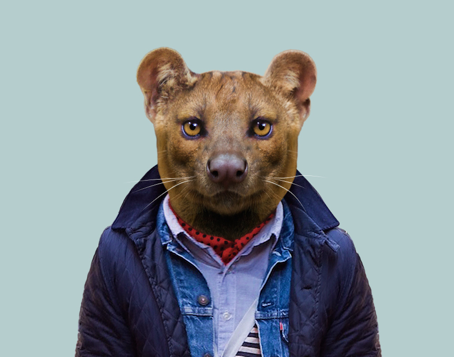 New Humanized Animals by Zoo Portraits-8