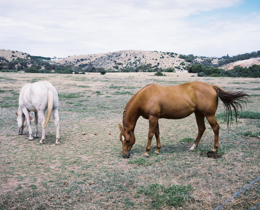 Photographical Journey on the South Australian Coast-11