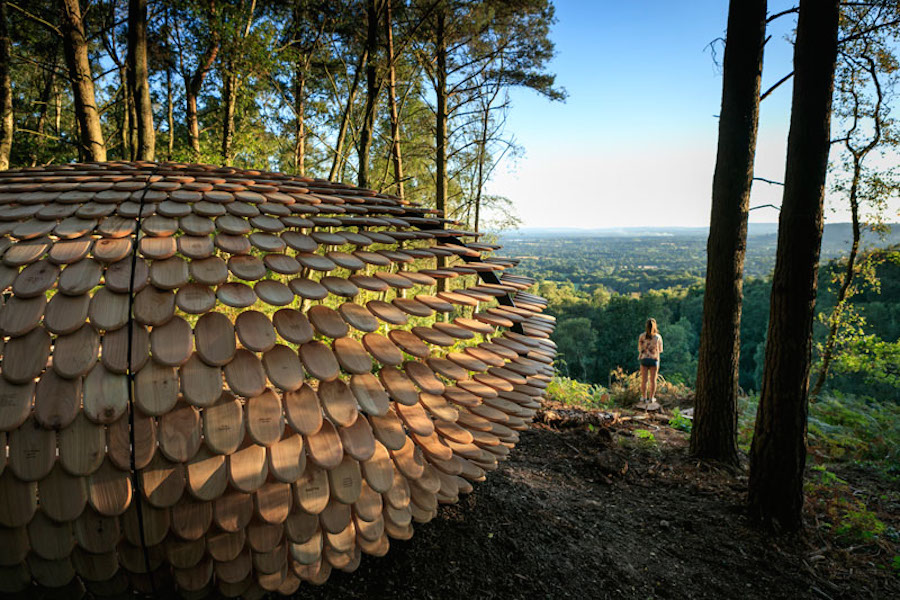 Sculptural Cedar Installation in the Middle of Nature-1