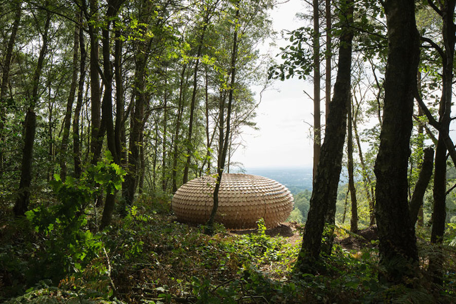 Sculptural Cedar Installation in the Middle of Nature-2