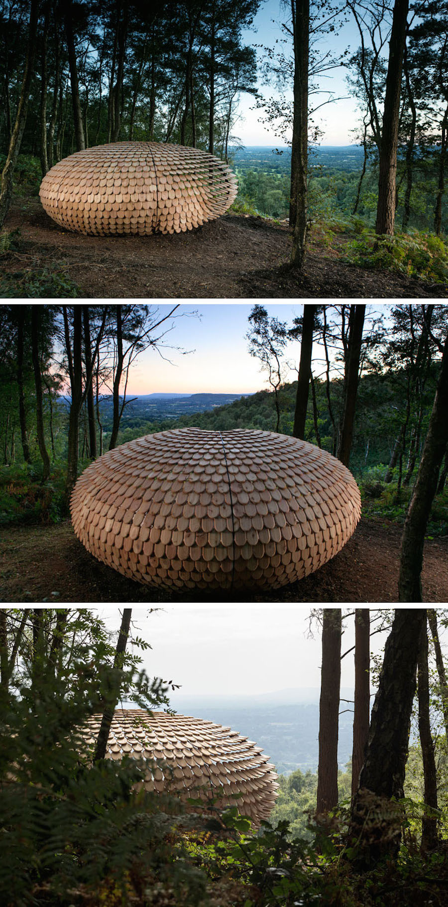 Sculptural Cedar Installation in the Middle of Nature-3