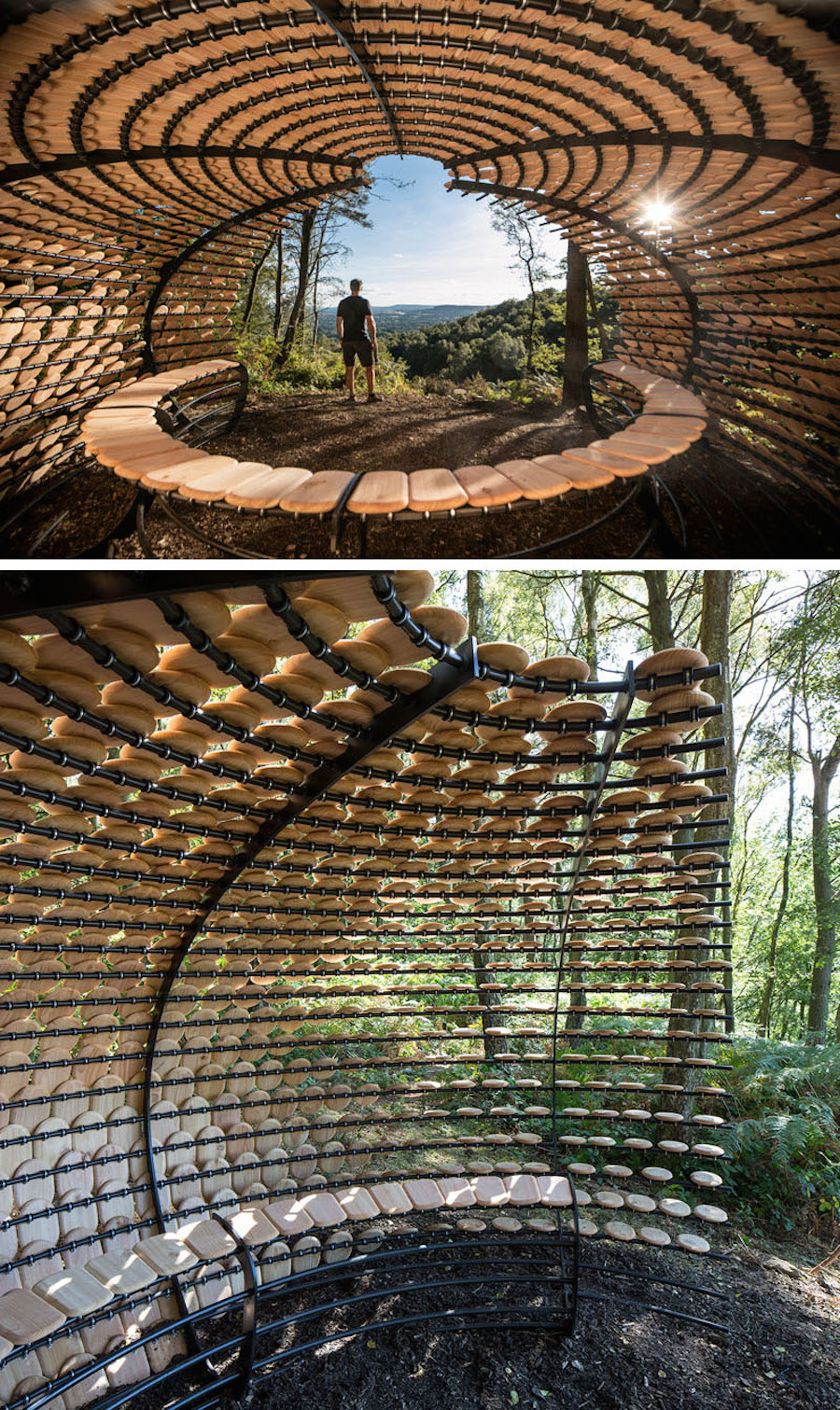 Sculptural Cedar Installation in the Middle of Nature-4