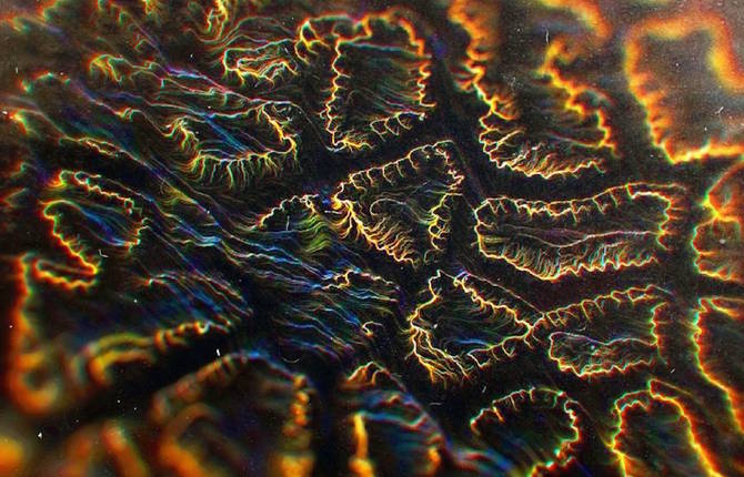 Colorful Abstract Shapes