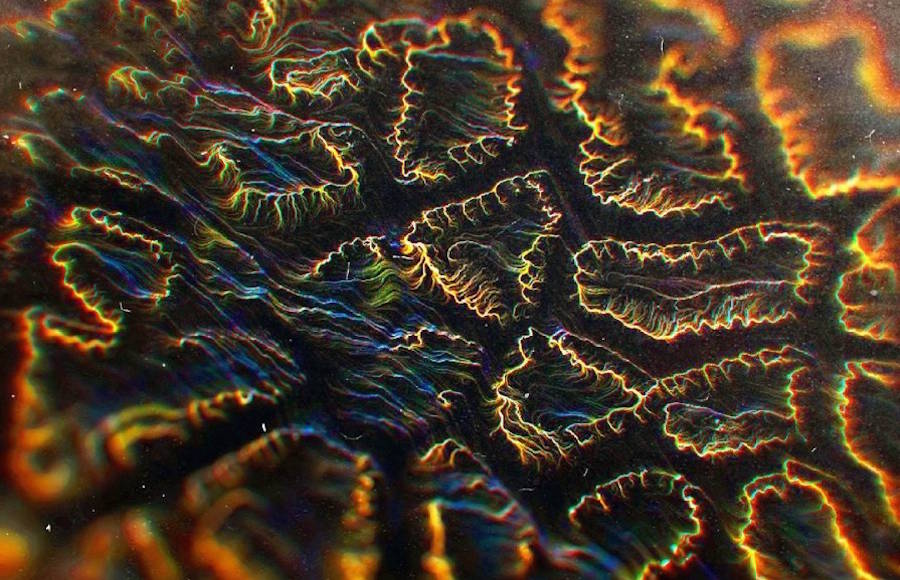Colorful Abstract Shapes