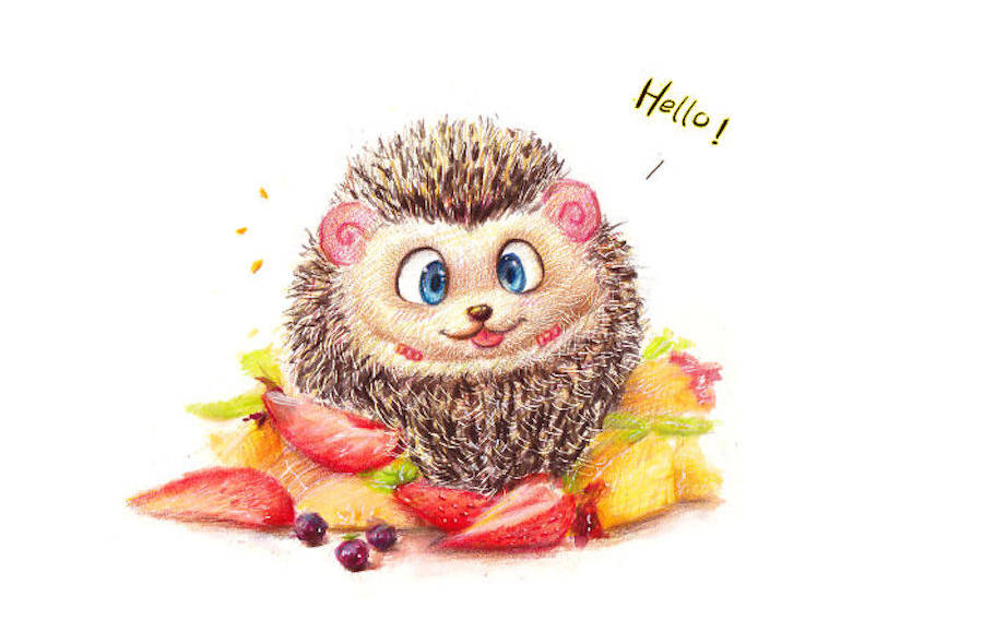Adorable Animals Drawings to Cure Unhappiness