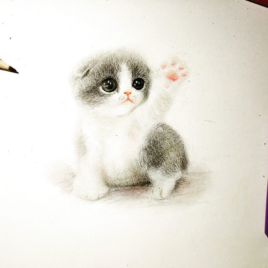 animaldrawings-2