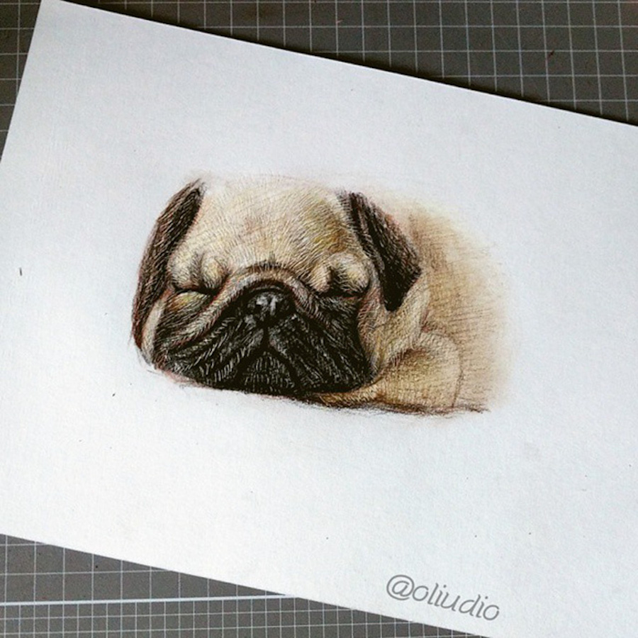 animaldrawings-3