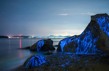 Poetic Pictures of Blue Light in Japan