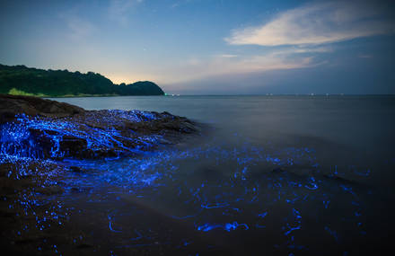 Poetic Pictures of Blue Light in Japan