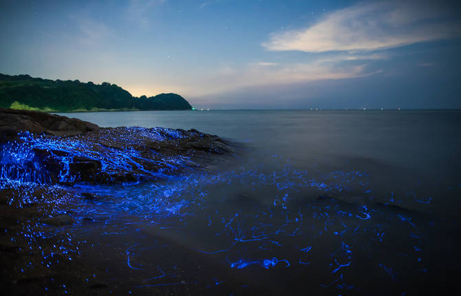 Poetic Pictures of Blue Light in Japan