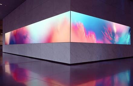 Digital Art Installation for Dolby Laboratories