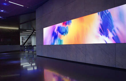 Digital Art Installation for Dolby Laboratories