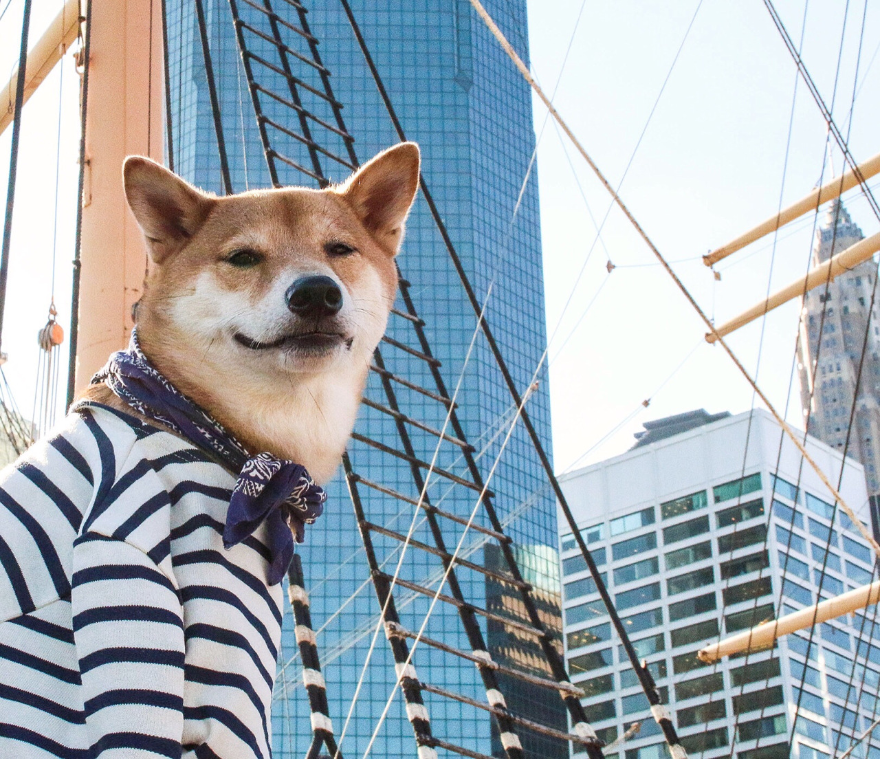 New York, NY-05/14/15 Menswear Dog Destination Wedding