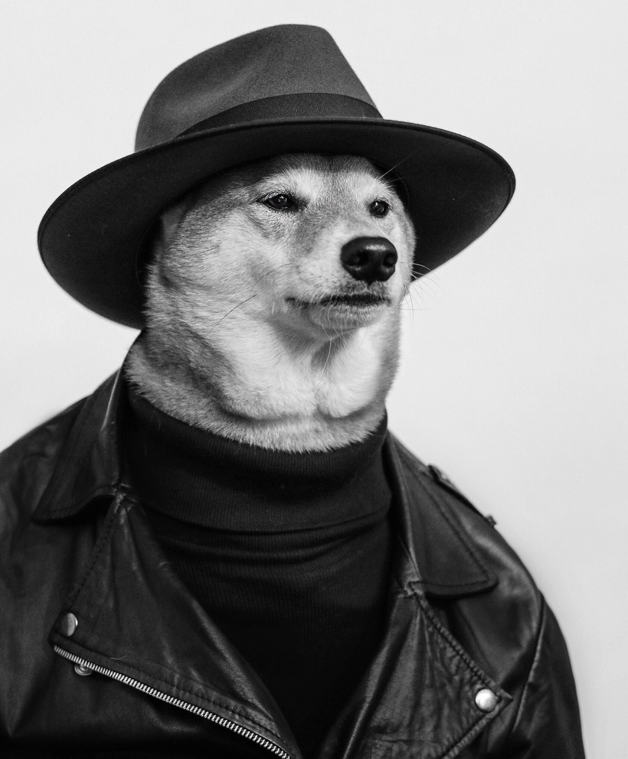 New York, NY-05/14/15 Menswear Dog Destination Wedding