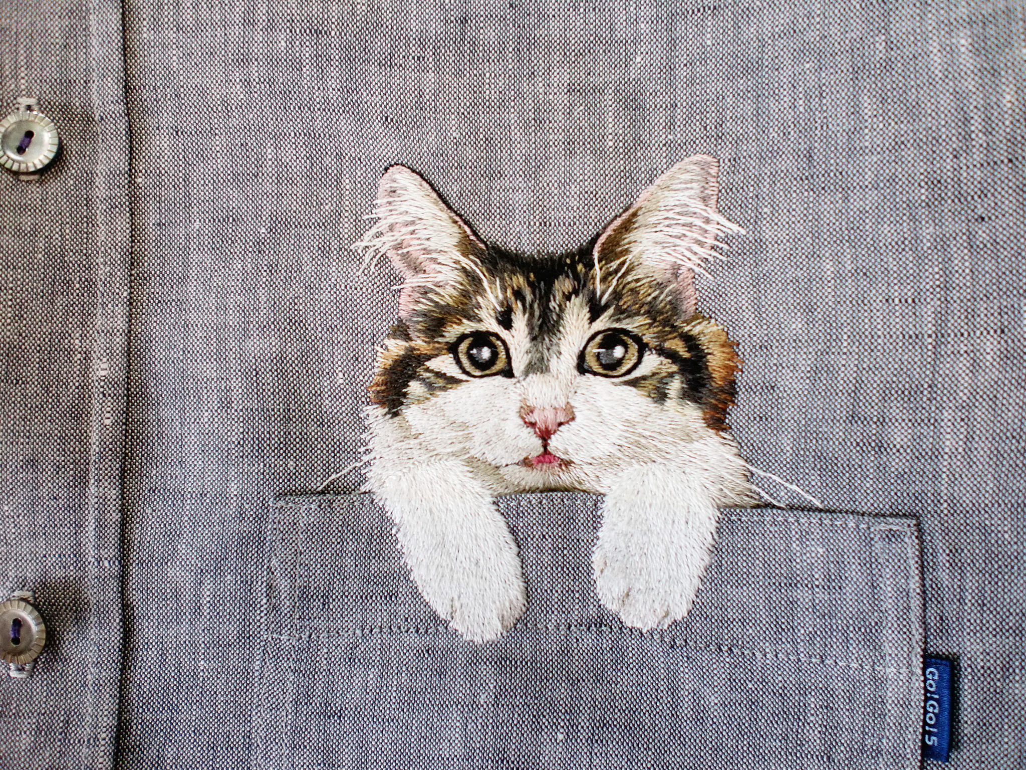 embroideredcatspockets0