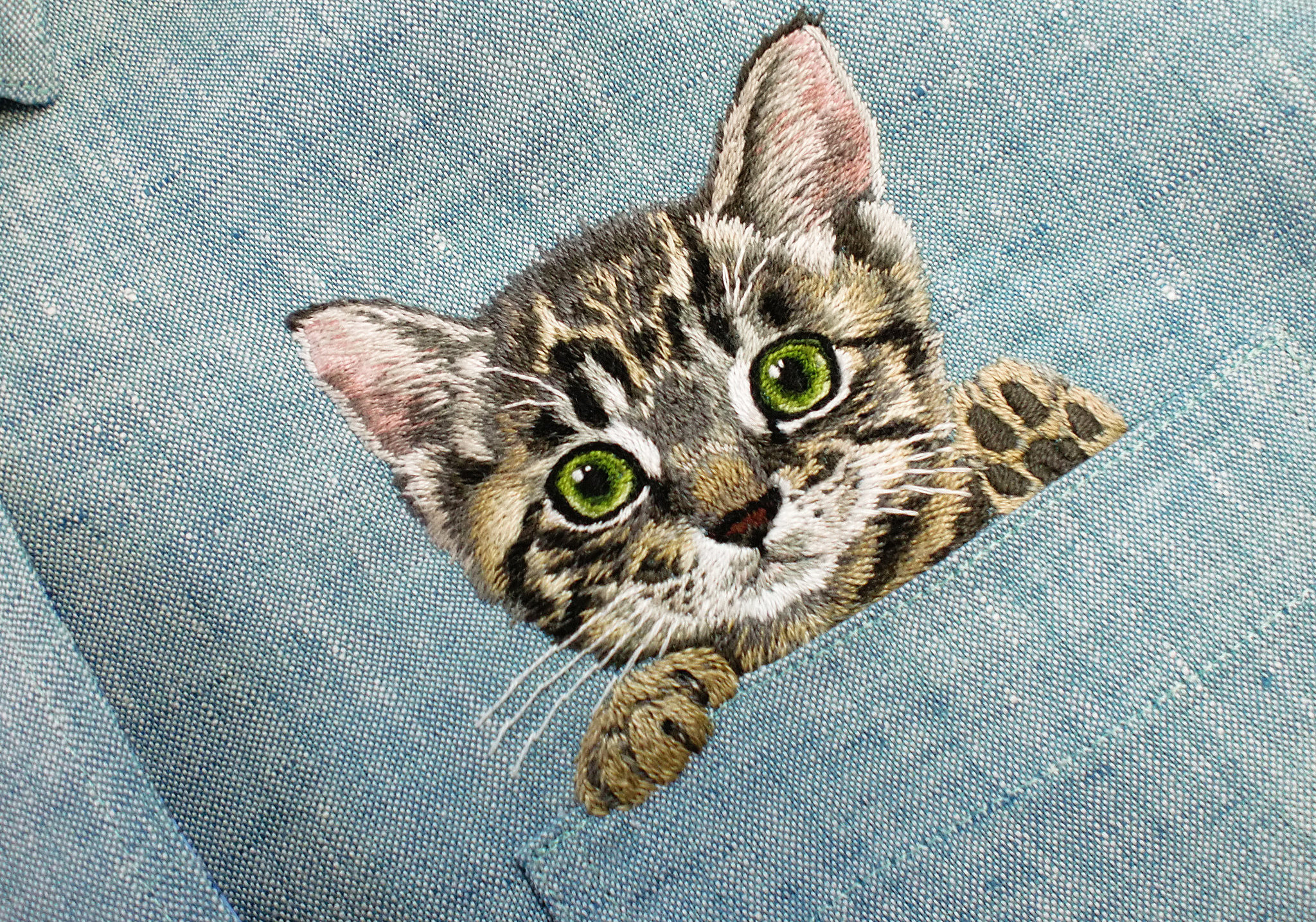 embroideredcatspockets1