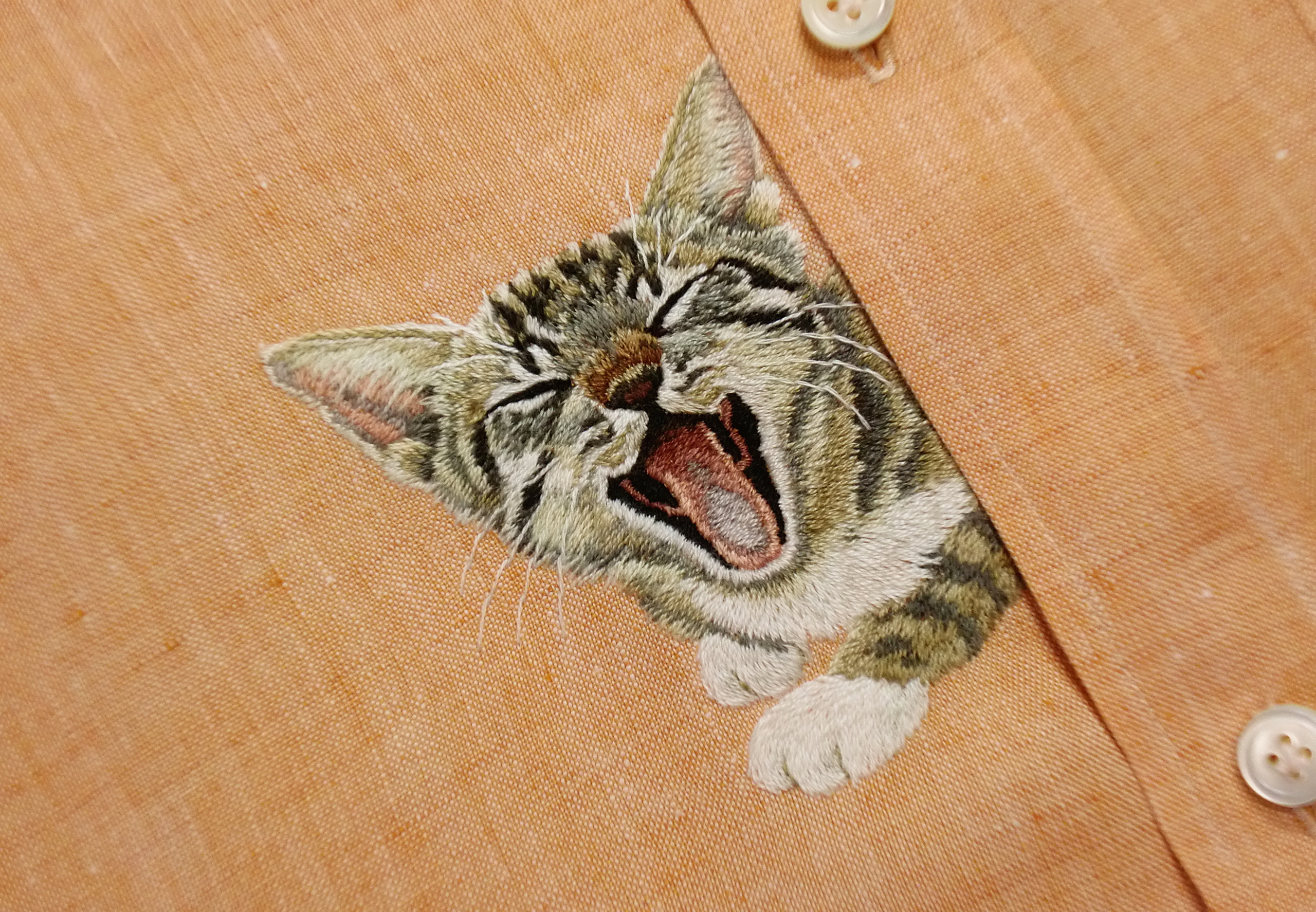 embroideredcatspockets2