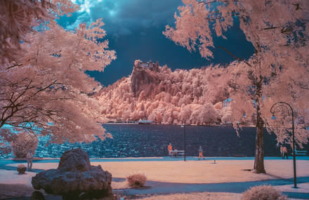 Infrared Nature Photography