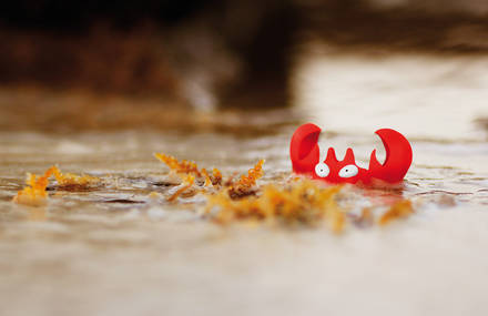 Inventive Pokémon Photographs in Natural Environment