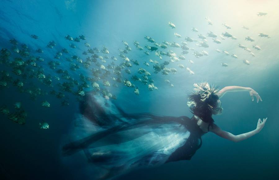 Enchanting Underwater Series