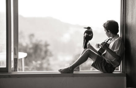 Nice Pictures of a Boy with a Tamed Magpie