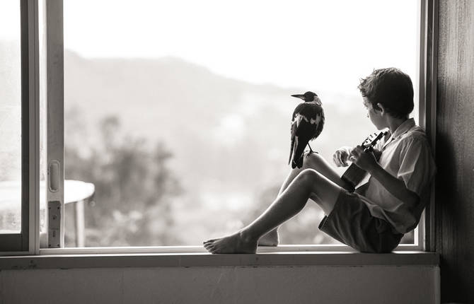 Nice Pictures of a Boy with a Tamed Magpie