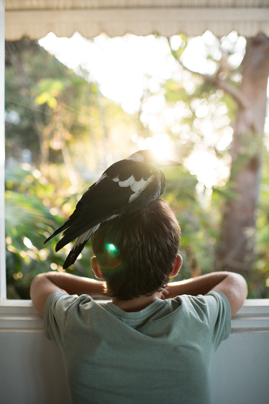 Nice Pictures of a Boy with a Tamed Magpie-12