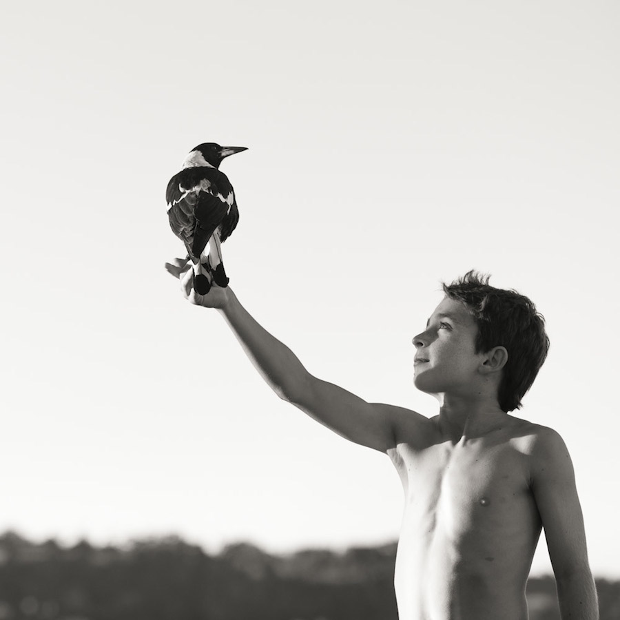 Nice Pictures of a Boy with a Tamed Magpie-3