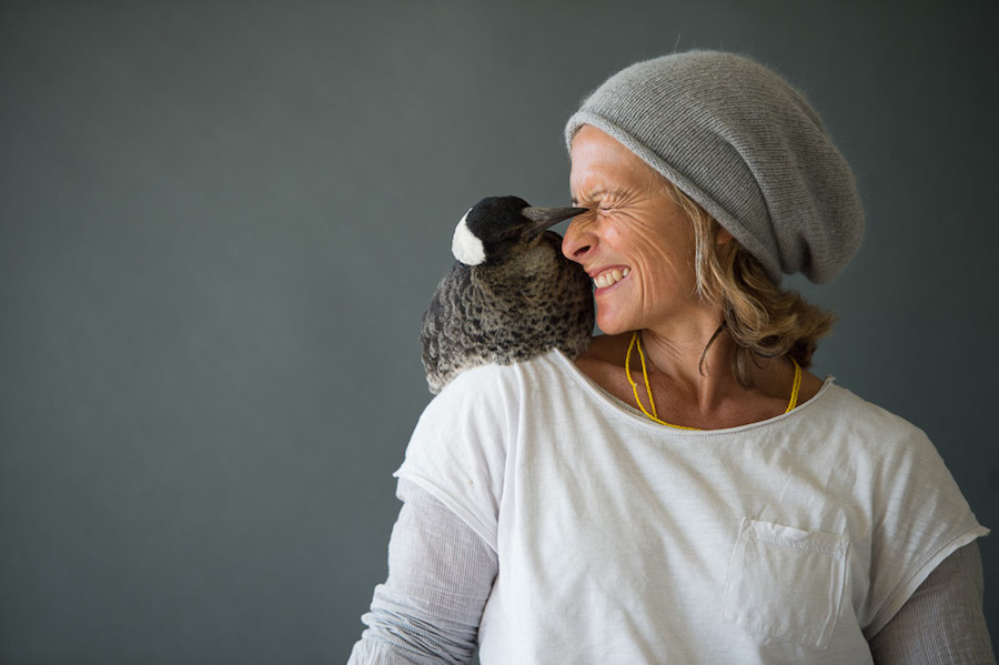 Nice Pictures of a Boy with a Tamed Magpie-7