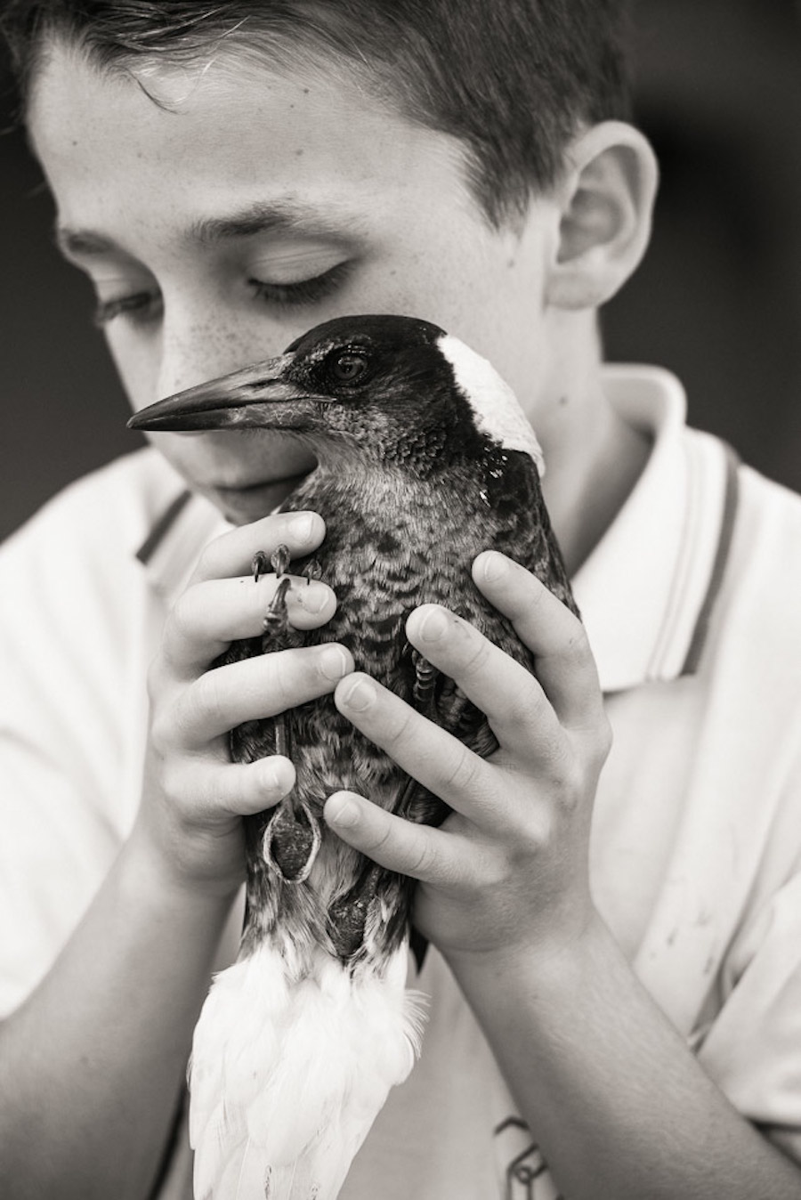Nice Pictures of a Boy with a Tamed Magpie-9