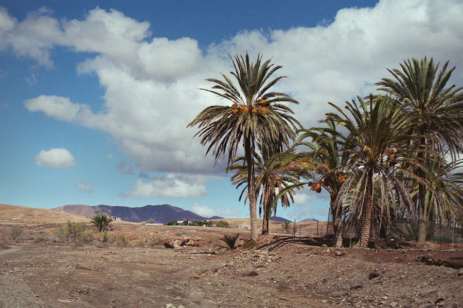Photographic Journey through Fuerteventura-11