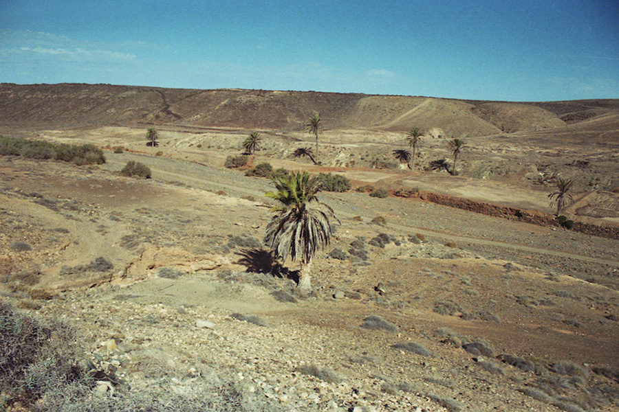 Photographic Journey through Fuerteventura-12