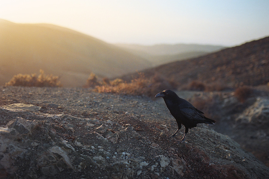 Photographic Journey through Fuerteventura-2