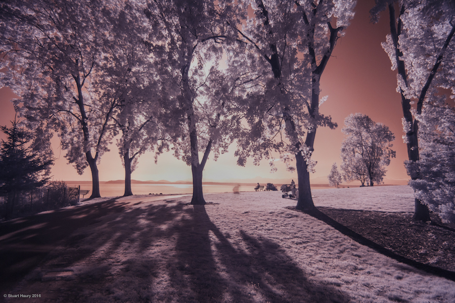 Photographical Exploration of the US in Infrared-0