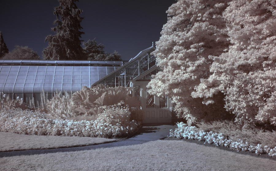 Photographical Exploration of the US in Infrared-11